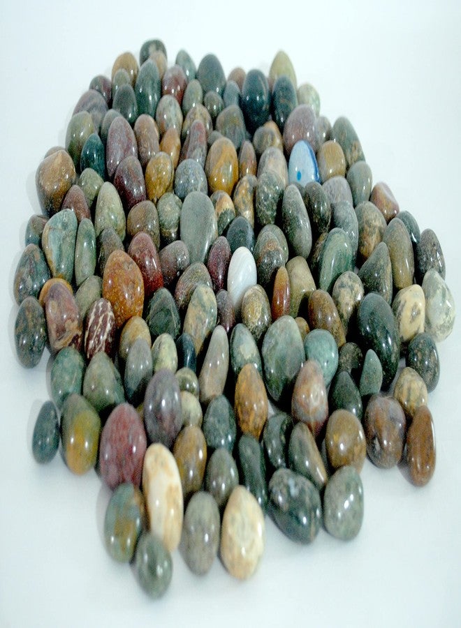 Schmick Pebbles for Decoration - Fancy Tumble Pebbles Stones for Fish Tank Aquarium, Fountain, Table Decor - Decorative Pebbles Stones and Vase Fillers - Pebbles for Plants Pots and Garden Decor (1.9 Kg, Fancy Tumble) - Image 4
